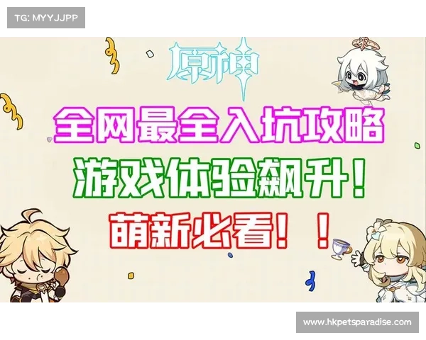 魂斗罗重磅回归:新手征战指南,全面攻略,助你轻松入坑