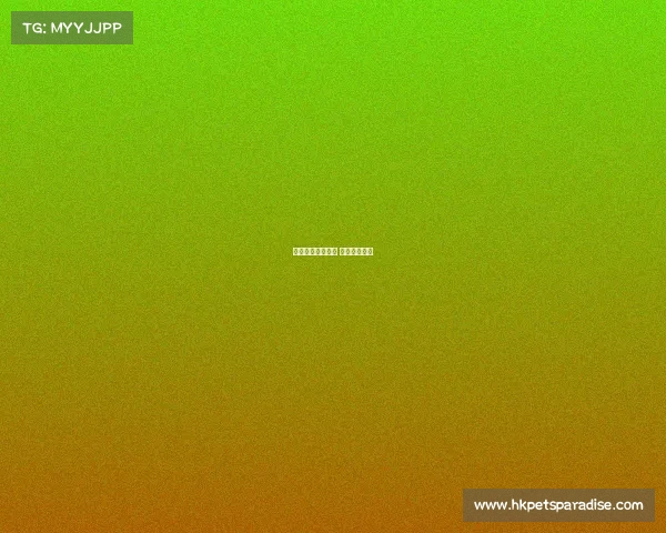 电子竞技比赛现场 电子竞技大赛