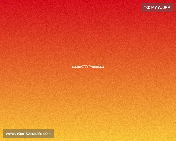 电竞新风尚：C77典TV全新平台正式上线