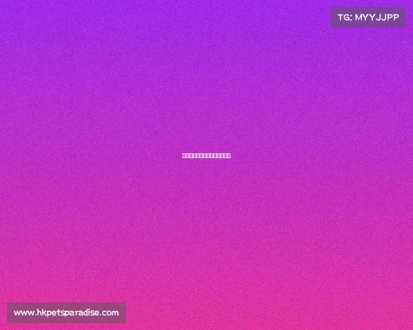 邵武电子竞技俱乐部地址在哪里